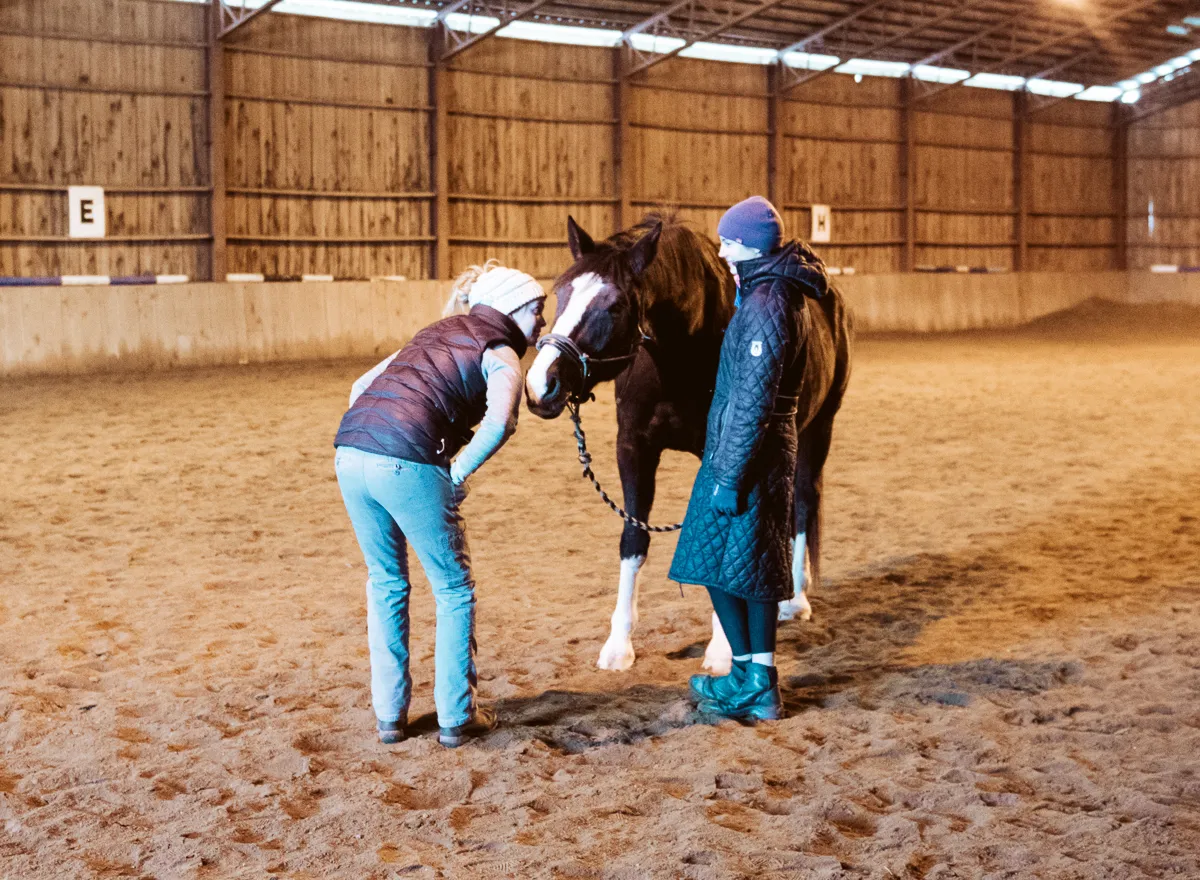 Two handlers assessing a horse’s posture in an indoor riding arena