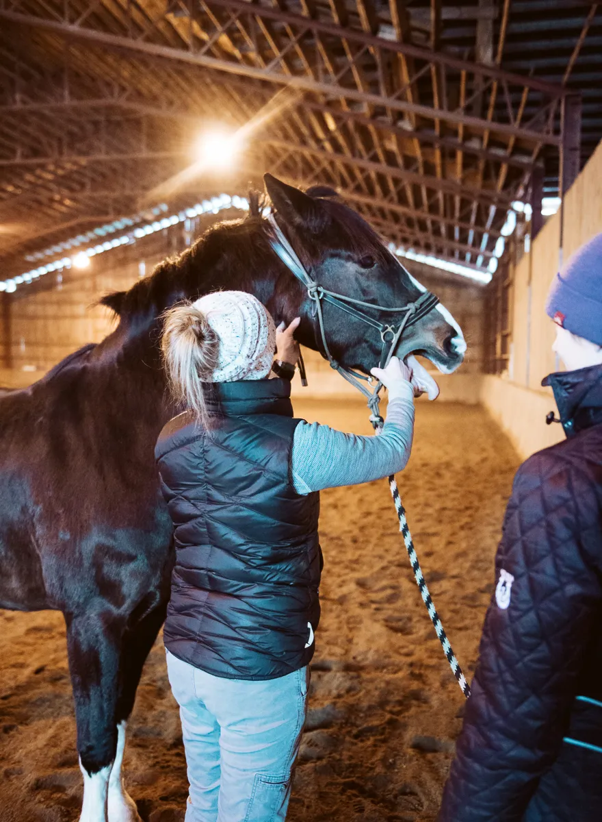 Erin Grace massaging a horse’s shoulder during a barn visit in Eastern Ontario