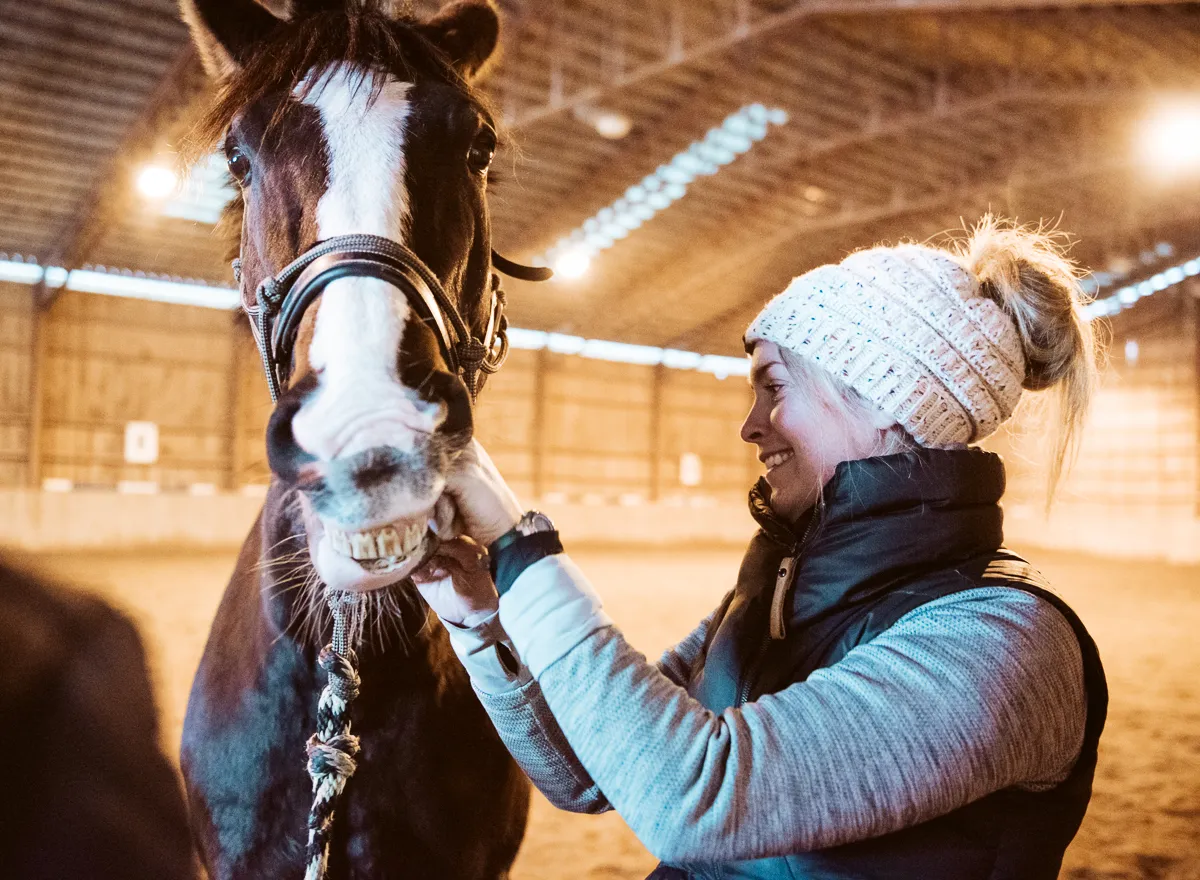 Horse relaxing in the barn aisle after an equine massage treatment