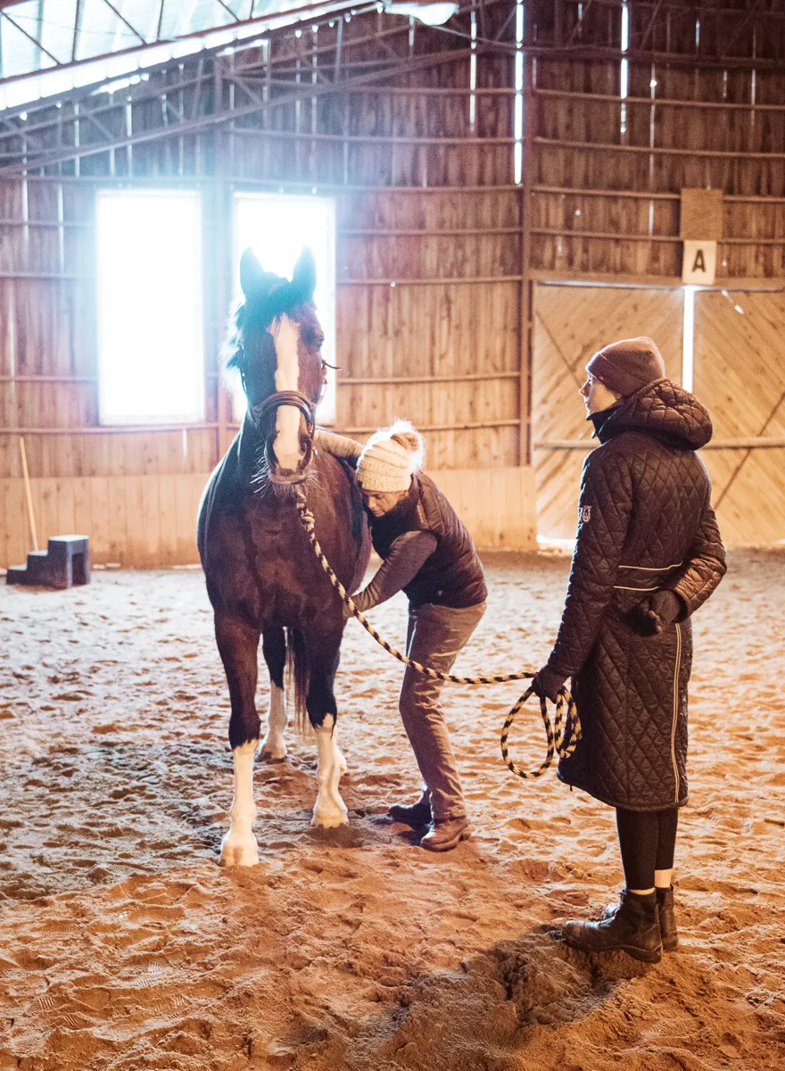 Erin working with a horse and owner in an indoor arena near Smiths Falls